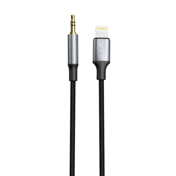 8-Pin to 3.5mm Aux Cable